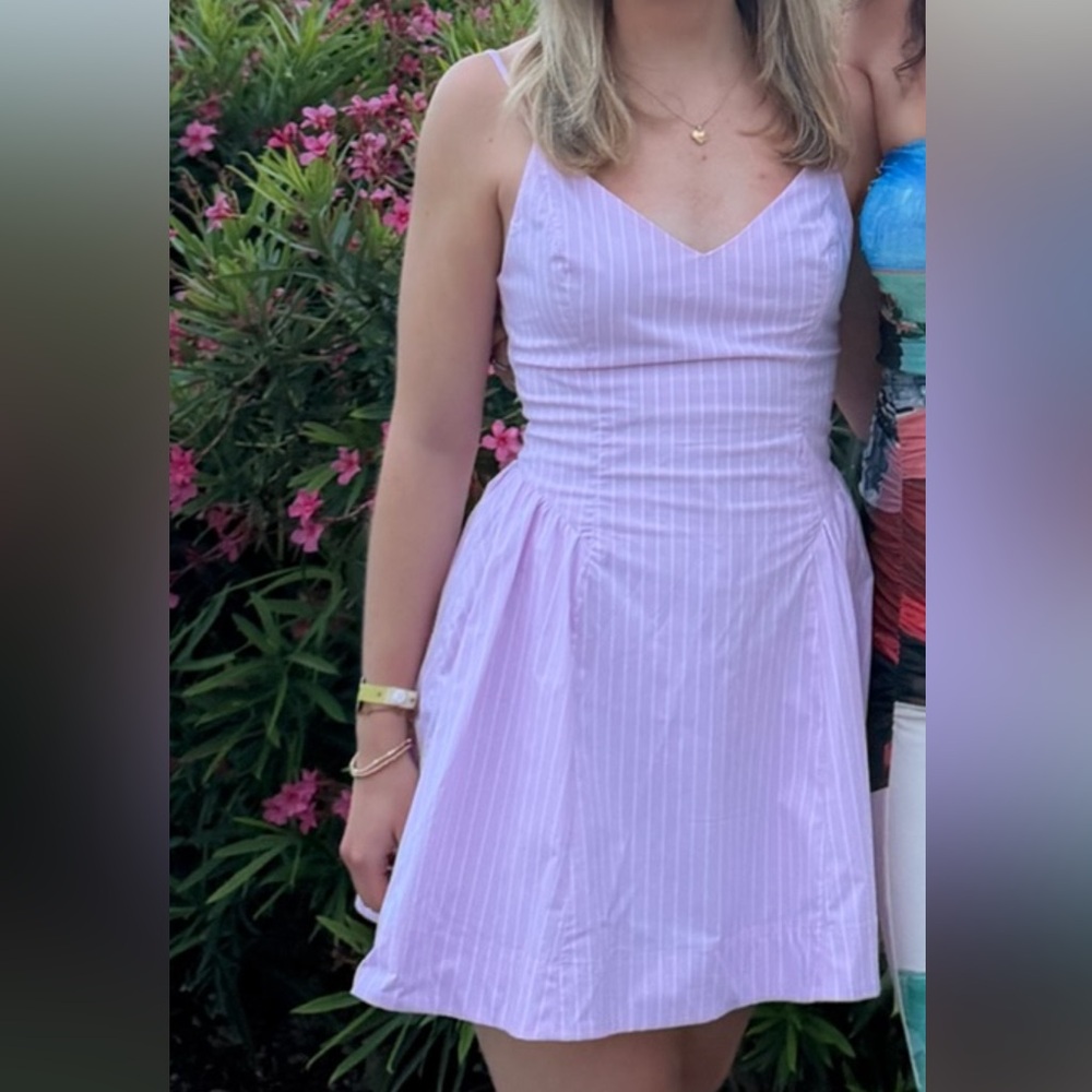 Aritzia Wilfred Technique Poplin Mini Dress Pink Pinstripe - Picture 2 of 3